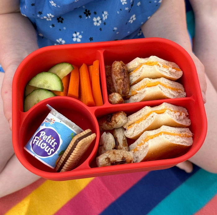 Pick Box Bento - 4 Compartment Silicone Lunch Box