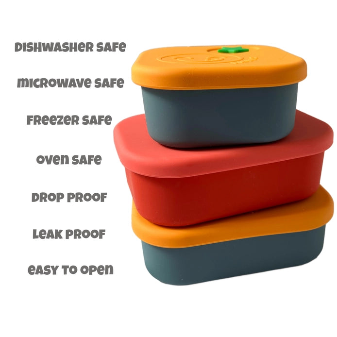 Pick Box Bento - 4 Compartment Silicone Lunch Box