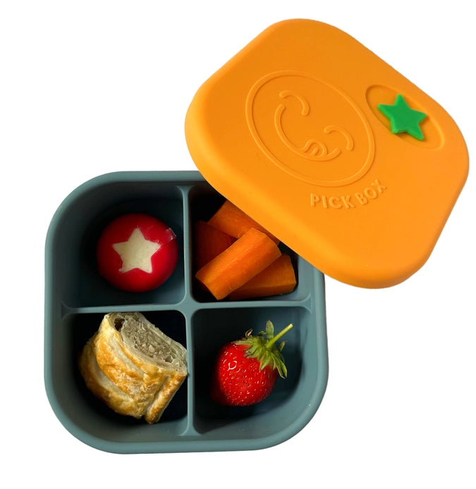 Pick Box Snack - 4 Compartment Square Silicone Snack Box