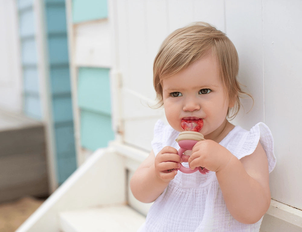 Silicone Fresh Food Feeder